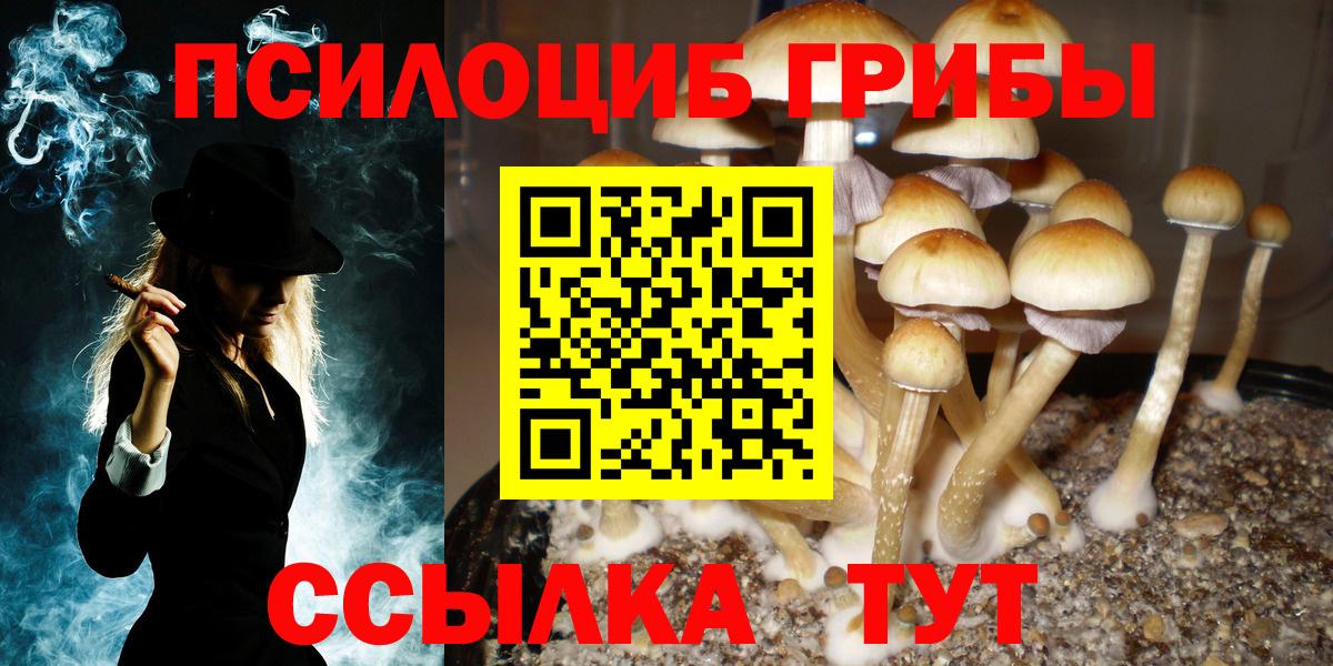 Сыктывкар  Псилоцибиновые грибы GOLDEN TEACHER  Вход с VPN 