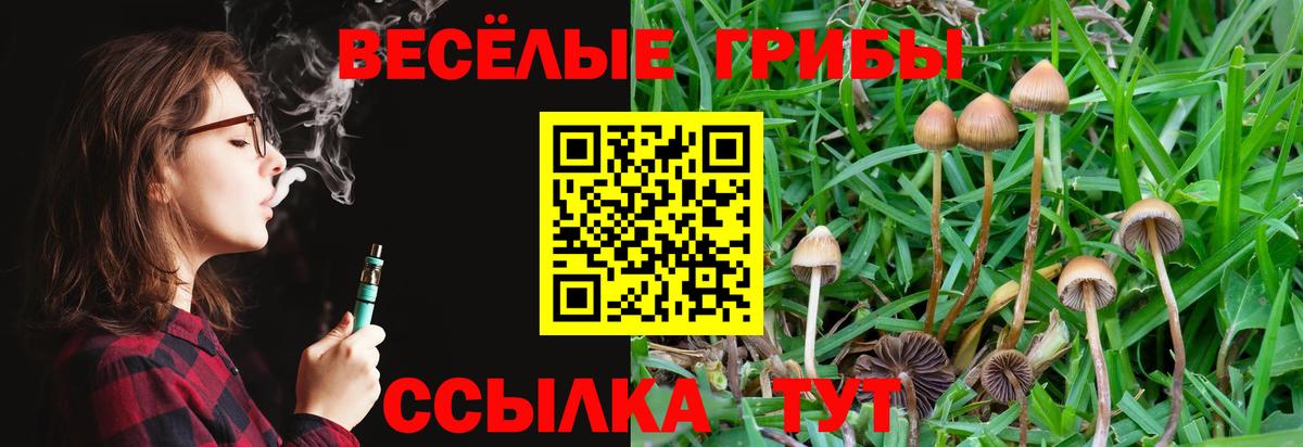 Псилоцибиновые грибы мухоморы Сыктывкар